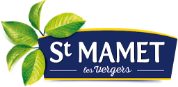 LOGO-SAINT-MAMET